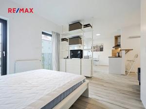 Pronájem bytu 1+kk, Plzeň, Sladová, 38 m2