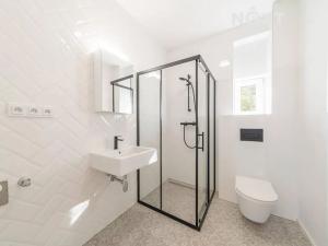 Pronájem bytu 3+kk, Ostrava, Palackého, 55 m2