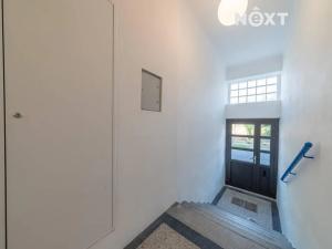 Pronájem bytu 3+kk, Ostrava, Palackého, 55 m2