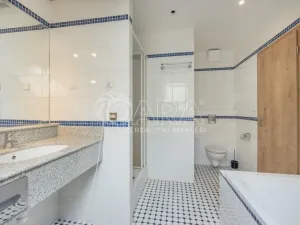 Pronájem bytu 1+kk, Praha - Smíchov, Radlická, 26 m2