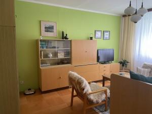 Pronájem bytu 1+1, Frýdek-Místek, Vítězslava Nezvala, 39 m2