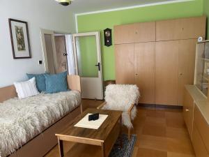 Pronájem bytu 1+1, Frýdek-Místek, Vítězslava Nezvala, 39 m2