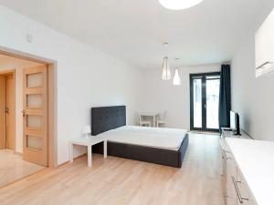 Pronájem bytu 1+kk, Praha - Žižkov, Olšanská, 43 m2