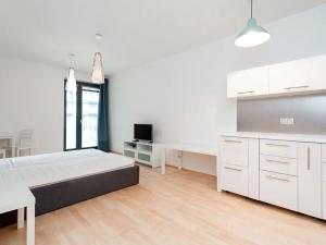 Pronájem bytu 1+kk, Praha - Žižkov, Olšanská, 43 m2