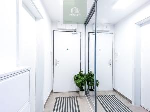 Pronájem bytu 1+kk, Praha - Strašnice, Štěchovická, 39 m2