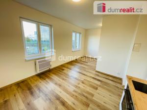 Pronájem bytu 1+kk, Praha - Nusle, U Svépomoci, 30 m2