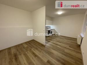 Pronájem bytu 1+kk, Praha - Nusle, U Svépomoci, 30 m2