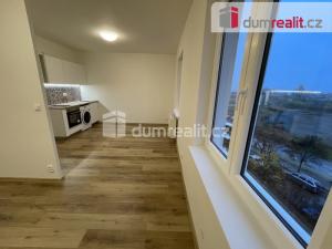 Pronájem bytu 1+kk, Praha - Nusle, U Svépomoci, 30 m2