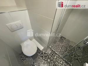 Pronájem bytu 1+kk, Praha - Nusle, U Svépomoci, 30 m2