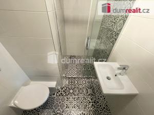 Pronájem bytu 1+kk, Praha - Nusle, U Svépomoci, 30 m2