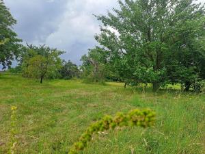 Prodej pozemku, Češov, 1189 m2