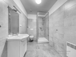 Pronájem bytu 2+kk, Praha - Holešovice, U Výstaviště, 45 m2