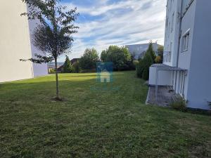 Pronájem bytu 2+kk, Plzeň, Kotíkovská, 50 m2