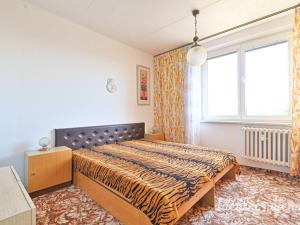 Pronájem bytu 3+1, Brno, Okrouhlá, 78 m2