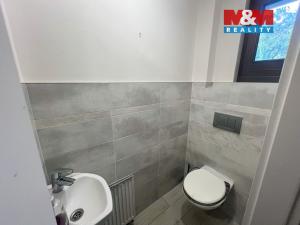 Pronájem rodinného domu, Praha - Kobylisy, Na Kopytářce, 168 m2