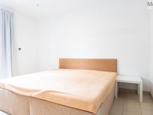 Pronájem rodinného domu, Skršín, 500 m2
