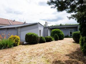 Pronájem rodinného domu, Skršín, 500 m2