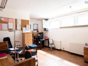 Pronájem rodinného domu, Skršín, 500 m2