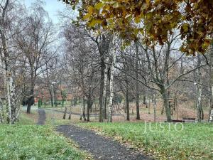 Pronájem bytu 2+1, Chomutov, Písečná, 63 m2