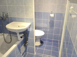 Pronájem bytu 1+1, Jílové - Kamenná, Spojová, 35 m2