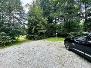 Prodej zemědělského objektu, Tachov - Světce, 240 m2