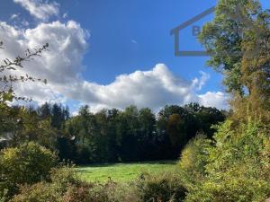 Prodej zemědělského objektu, Tachov - Světce, 240 m2