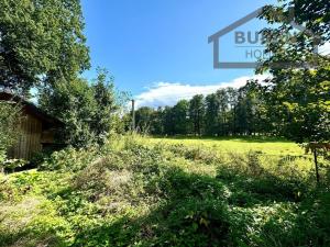 Prodej zemědělského objektu, Tachov - Světce, 240 m2