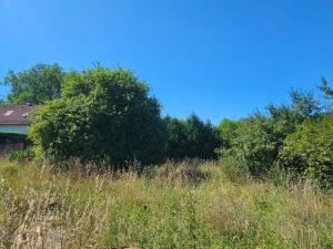 Prodej rodinného domu, Přerubenice, 80 m2