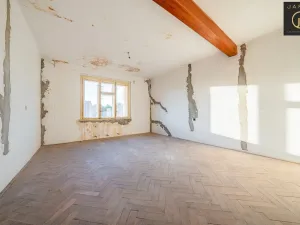 Prodej rodinného domu, Malé Kyšice, Hlavní, 400 m2