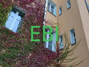 Prodej činžovního domu, Praha - Vršovice, 28. pluku, 623 m2