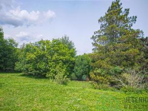 Prodej rodinného domu, Javorník - Horní Hoštice, 265 m2