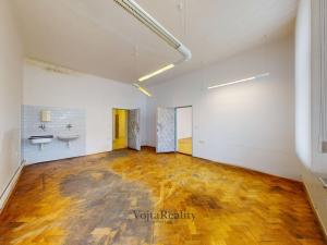 Prodej bytu 3+kk, Olomouc, Palackého, 99 m2