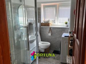 Pronájem bytu 2+kk, České Budějovice, V. Špály, 43 m2