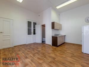 Pronájem bytu 2+kk, Plzeň - Vnitřní Město, Veleslavínova, 53 m2