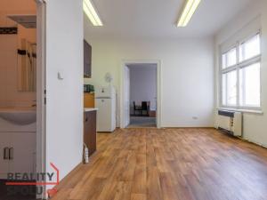 Pronájem bytu 2+kk, Plzeň - Vnitřní Město, Veleslavínova, 53 m2