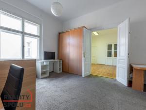 Pronájem bytu 2+kk, Plzeň - Vnitřní Město, Veleslavínova, 53 m2