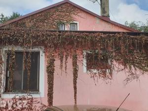 Prodej rodinného domu, Havířov, Stará, 180 m2