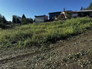 Prodej rodinného domu, Havířov, Stará, 180 m2