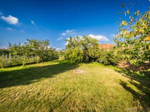 Prodej rodinného domu, Moravský Písek, Sokolská, 210 m2