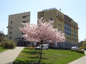 Pronájem obchodního prostoru, Brno, Gajdošova, 33 m2