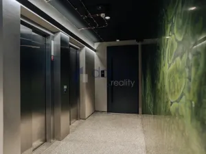 Pronájem kanceláře, Praha, Václavské náměstí, 113 m2