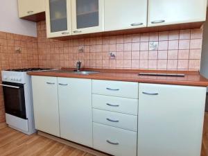 Pronájem bytu 1+1, Valašské Meziříčí - Krásno nad Bečvou, Na Šištotě, 45 m2