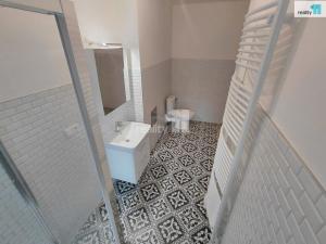 Pronájem bytu 3+1, Aš, Údolní, 94 m2