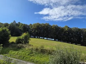 Prodej rodinného domu, Lipová-lázně - Bobrovník, 55 m2