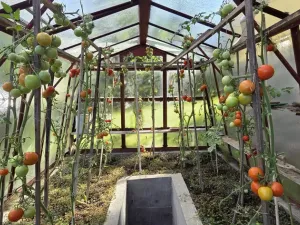 Prodej rodinného domu, Lipová-lázně - Bobrovník, 55 m2