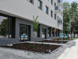 Pronájem bytu 3+kk, Ostrava, Pavlovova, 70 m2