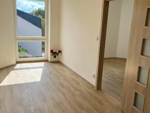 Pronájem bytu 2+kk, Radnice, náměstí Kašpara Šternberka, 57 m2