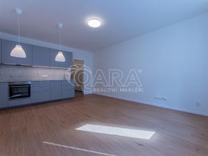 Pronájem bytu 1+kk, Praha - Žižkov, Viklefova, 34 m2