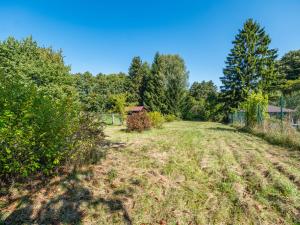Prodej rodinného domu, Bakov nad Jizerou - Malá Bělá, 100 m2