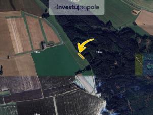 Prodej louky, Dlouhá Třebová, 1237 m2
